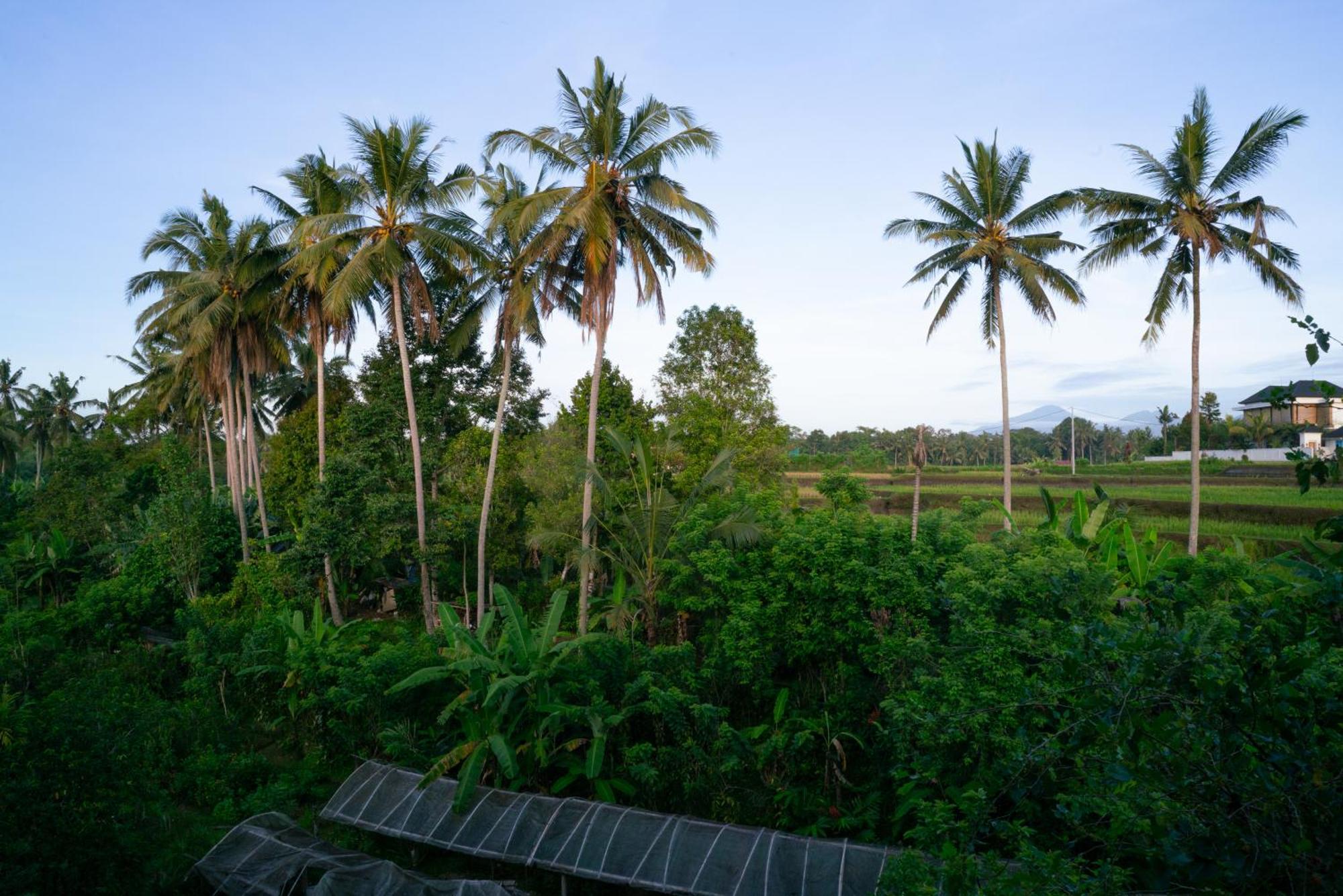 Karang Lila Bhuana Ubud Luaran gambar